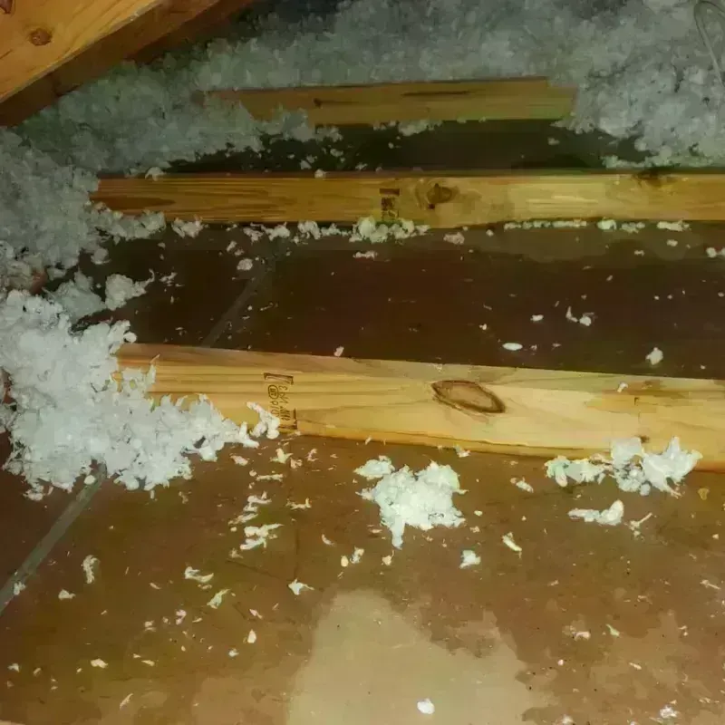 Attic Water Damage in Port Royal, SC