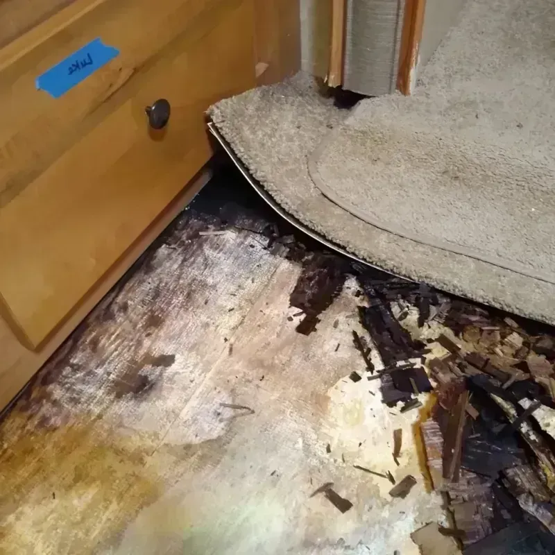 Wood Floor Water Damage in Port Royal, SC